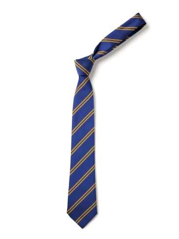 Royal With Gold Double Stripe Tie (Box 24)