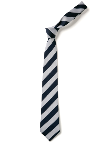 Bromley Pensnett Primary School Tie 