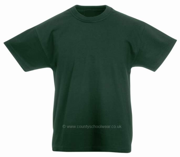 Gig Mill Primary School sports PE T-shirt in house colours