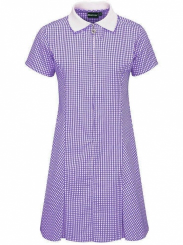School Gingham Summer Dress Zip Front