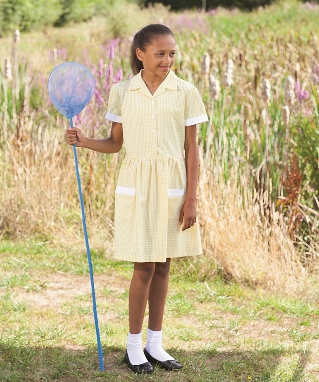 School Gingham Summer Dress Back Tie Belt