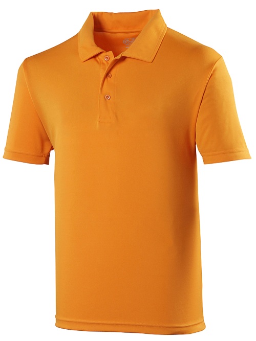 School wear cool polo shirt, polyester, senior sizes and school uniform colours