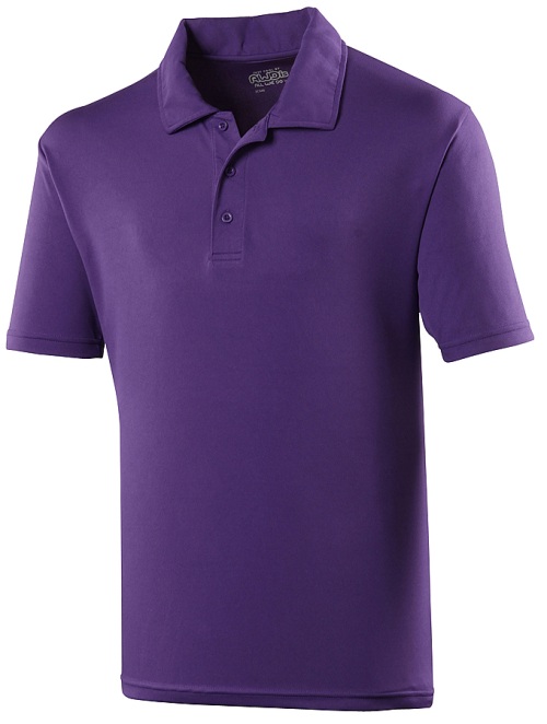 School wear cool polo shirt, polyester, senior sizes and school uniform colours