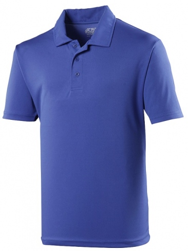 School wear cool polo shirt, polyester, senior sizes and school uniform colours