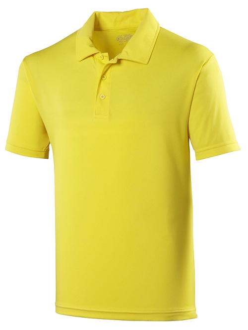 School wear cool polo shirt, polyester, senior sizes and school uniform colours