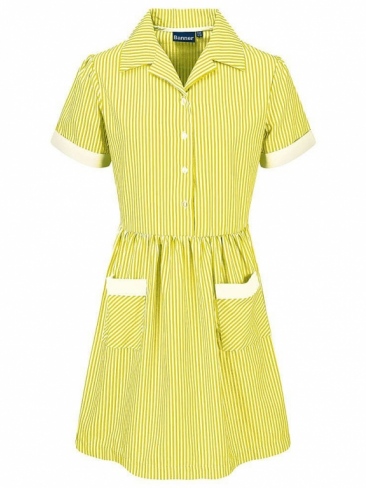 School Striped Summer Dress Button Front