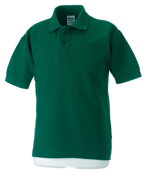 School wear polo shirt in school uniform colours for school sports or uniform