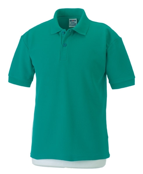 School wear polo shirt in school uniform colours for school sports or uniform
