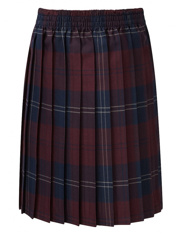Girls junior school tartan knife pleat skirt pull on elasticated waist