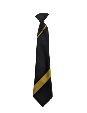 Wolverley CE Secondary School Striped Clip-on Tie Black/Yellow Drakelow