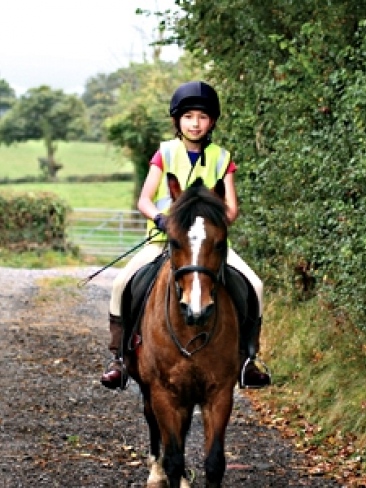 Safety Wear and Thermal Wear