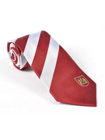 Special Design School & Club Ties